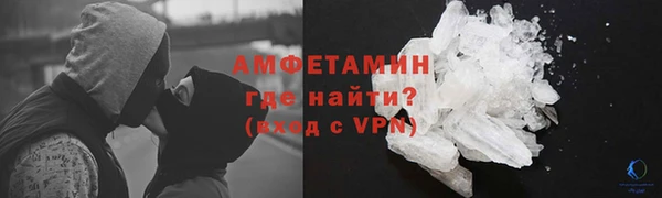 гидра Каменногорск