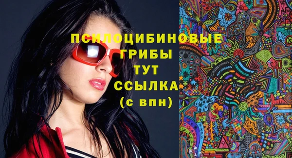 меф Переславль-Залесский