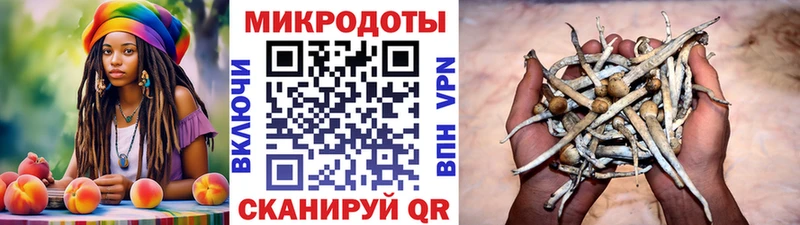 Галлюциногенные грибы прущие грибы  Лангепас 