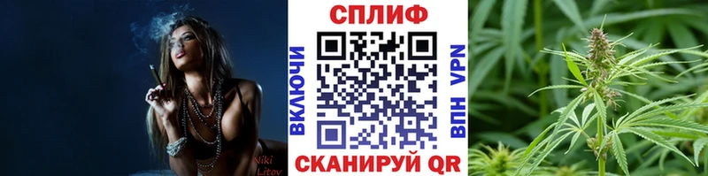 Бошки Шишки тримм  Лангепас 